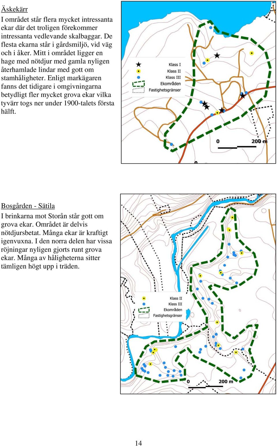 Enligt markägaren fanns det tidigare i omgivningarna betydligt fler mycket grova ekar vilka tyvärr togs ner under 1900-talets första hälft.