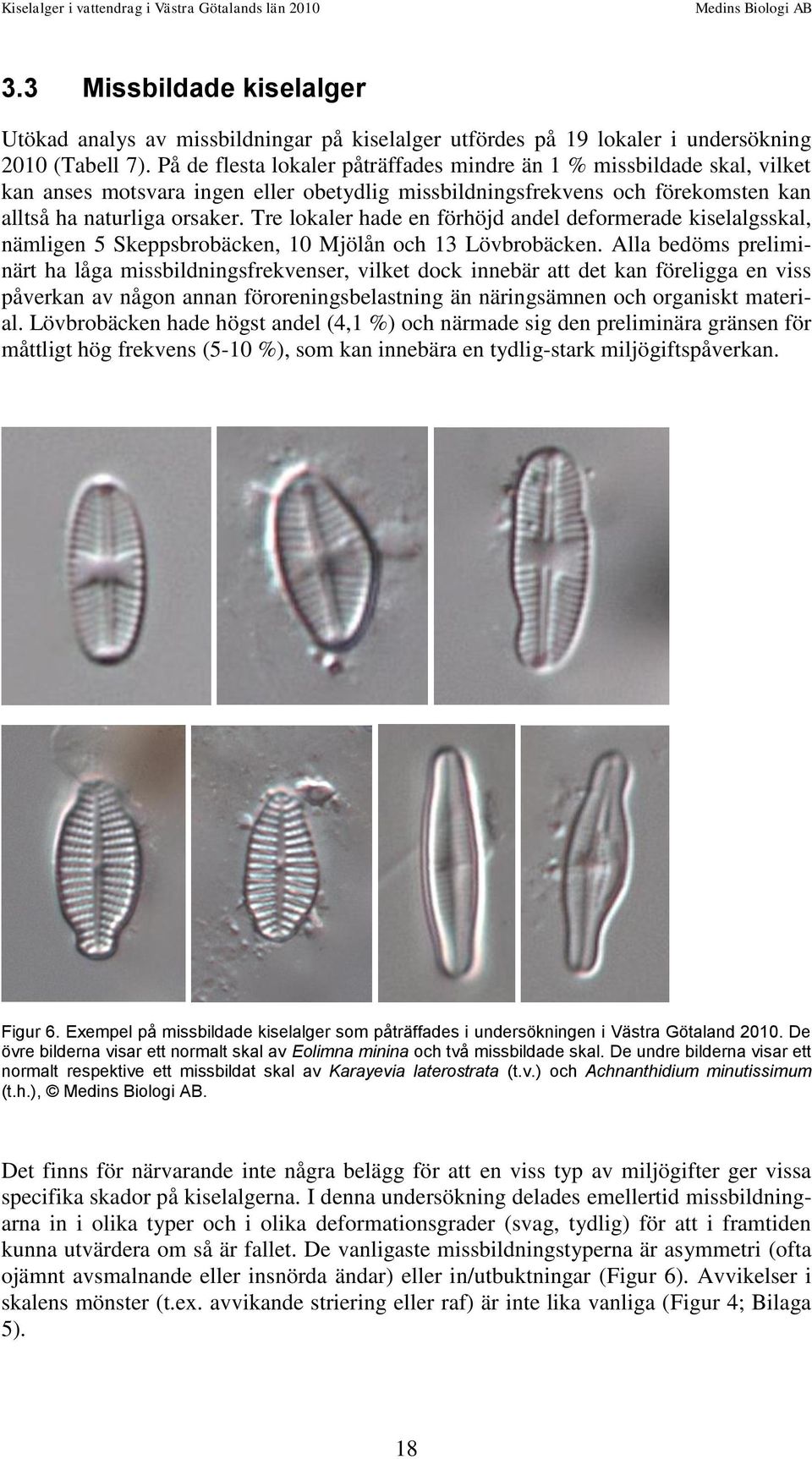 Tre lokaler hade en förhöjd andel deformerade kiselalgsskal, nämligen 5 Skeppsbrobäcken, 10 Mjölån och 13 Lövbrobäcken.
