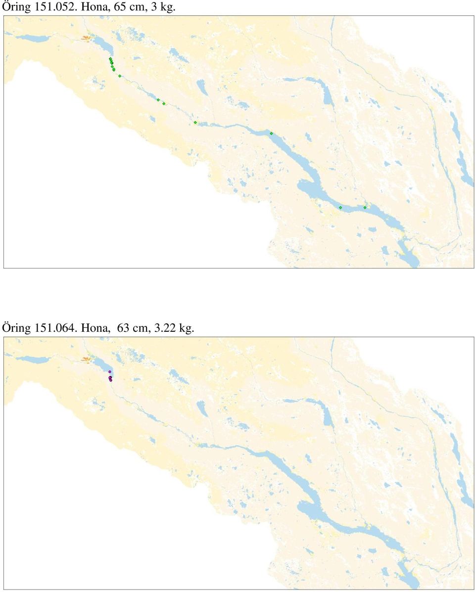 Öring 151.064.