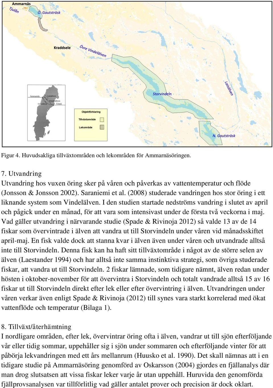 I den studien startade nedströms vandring i slutet av april och pågick under en månad, för att vara som intensivast under de första två veckorna i maj.