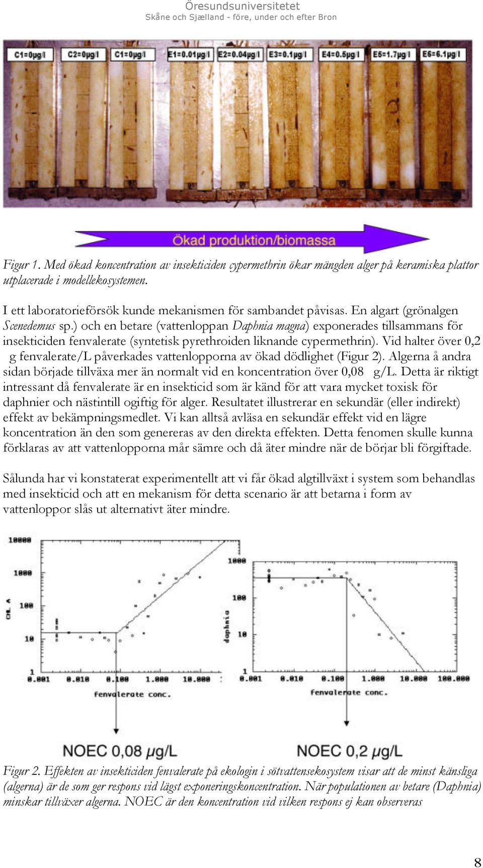 Vid halter över 0,2 g fenvalerate/l påverkades vattenlopporna av ökad dödlighet (Figur 2). Algerna å andra sidan började tillväxa mer än normalt vid en koncentration över 0,08 g/l.