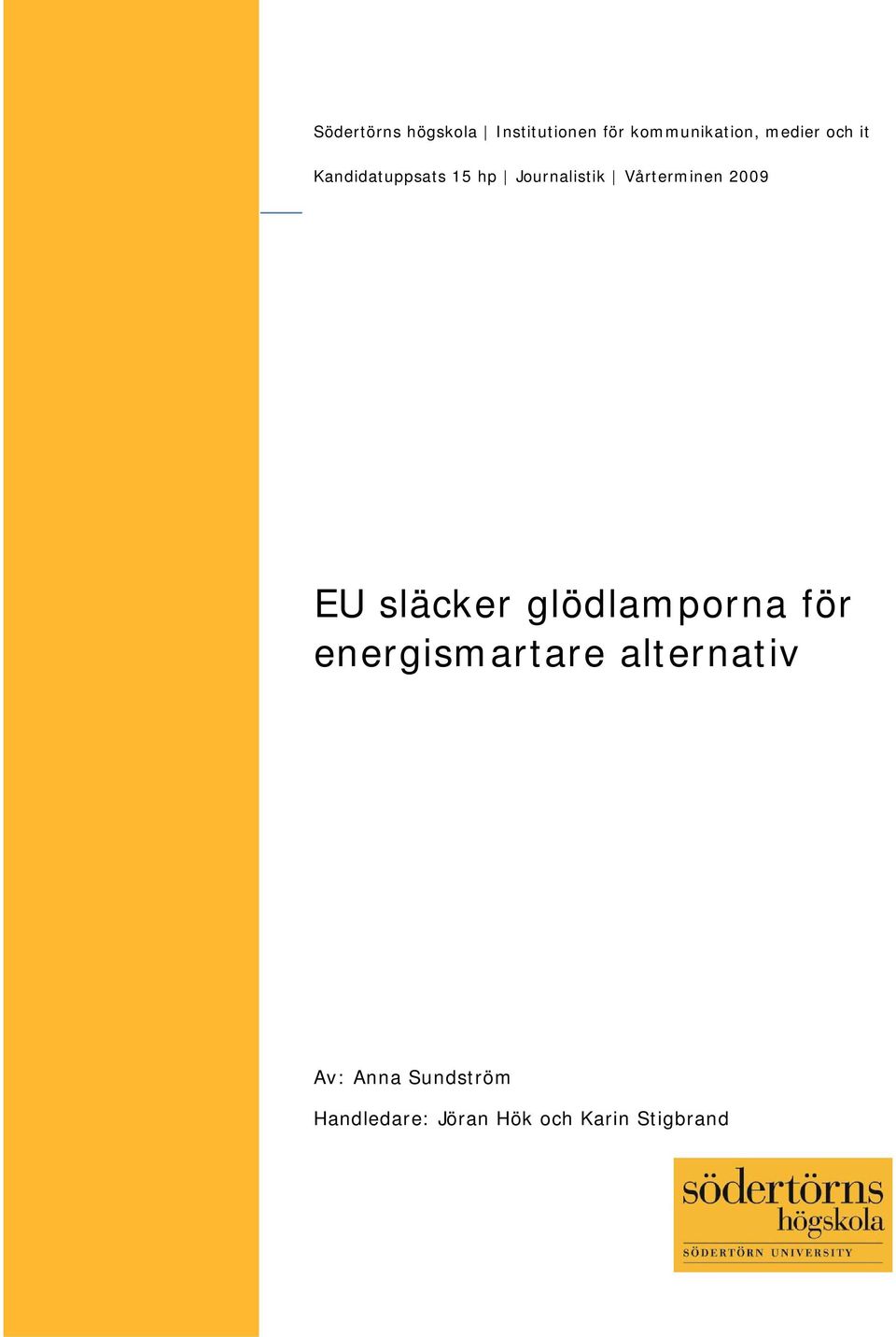 Journalistik Vårterminen 2009 EU släcker glödlamporna