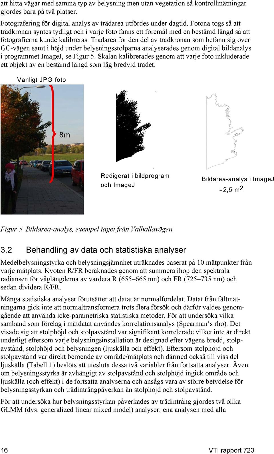Trädarea för den del av trädkronan som befann sig över GC-vägen samt i höjd under belysningsstolparna analyserades genom digital bildanalys i programmet ImageJ, se Figur 5.