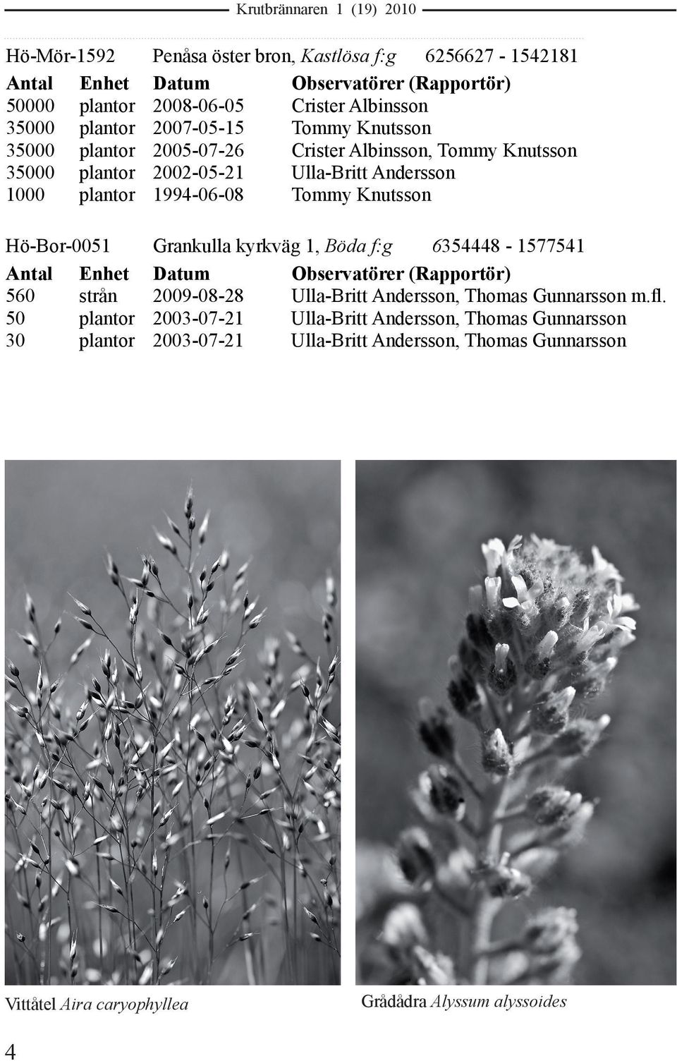 Knutsson Hö-Bor-0051 Antal Enhet 560 strån 50 plantor 30 plantor Grankulla kyrkväg 1, Böda f:g 6354448-1577541 Datum Observatörer (Rapportör) 2009-08-28 Ulla-Britt Andersson,
