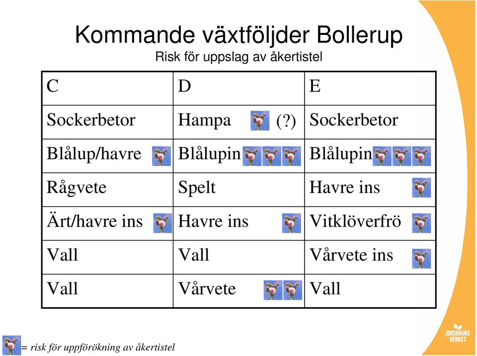 ) Sockerbetor Blålup/havre Blålupin Blålupin Rågvete Spelt Havre