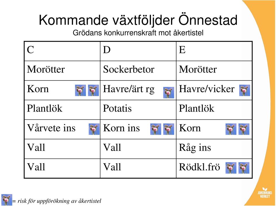 Havre/vicker Plantlök Potatis Plantlök Vårvete ins Korn ins Korn