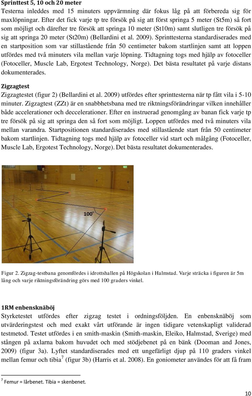 meter (St20m) (Bellardini et al. 2009).