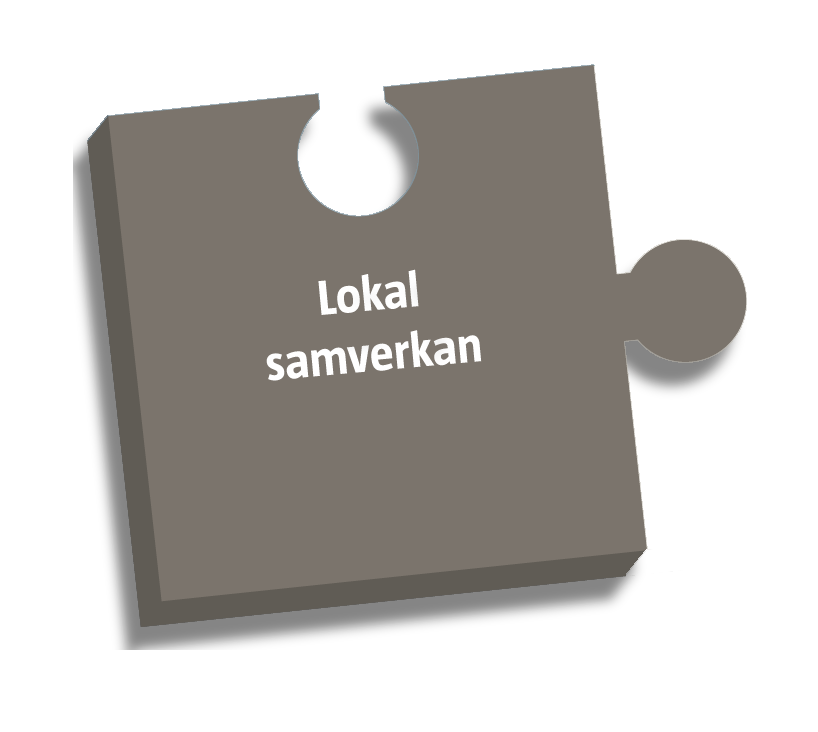 Lokal samverkan Projekt: Vägledning Brandsäker