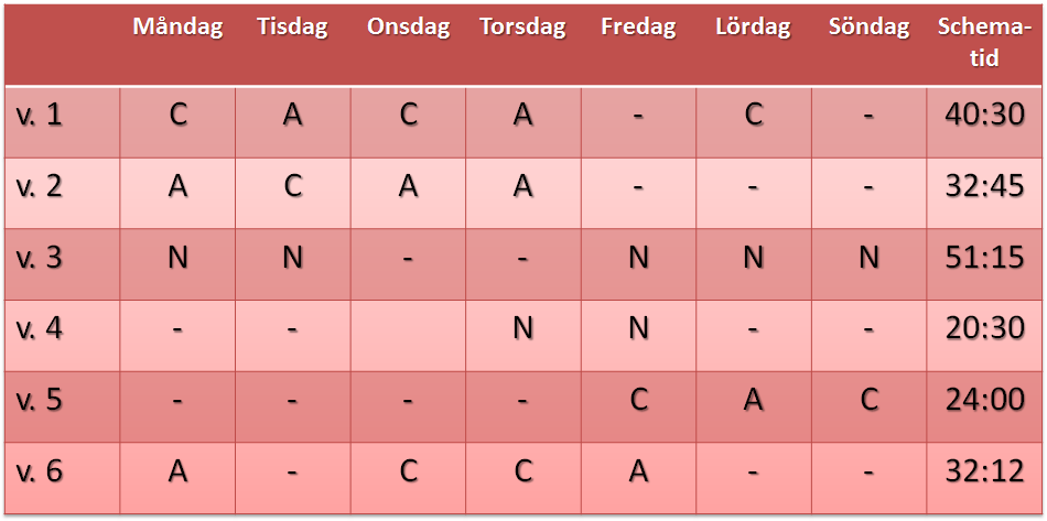 BILAGA 1 Nedan visas två exempel på det 6-veckors fasta skiftschema som infördes på den aktuella