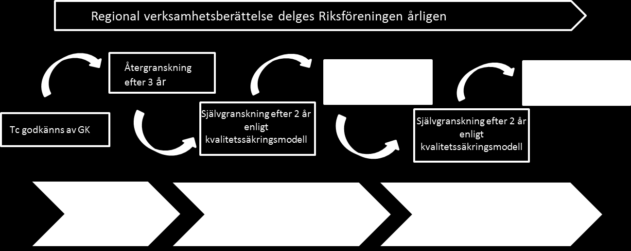 Bakgrund De första Teknikcollege regionerna blev godkända 2006. Den granskning som då skedde lade grunden för utvecklandet av den granskningsmodell som senare gällt för samtliga Teknikcollege.