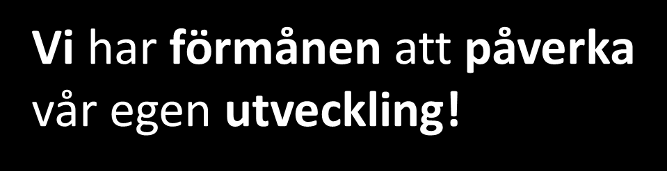 * Handlingsplan med tidplan * Mål och vision *