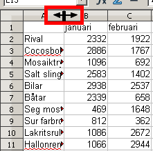 Det enklaste sättet att summera är med knappen Summera. Du är kvar i cellf30. Du ska kopiera den cellen så att varje kolumn blir summerad.