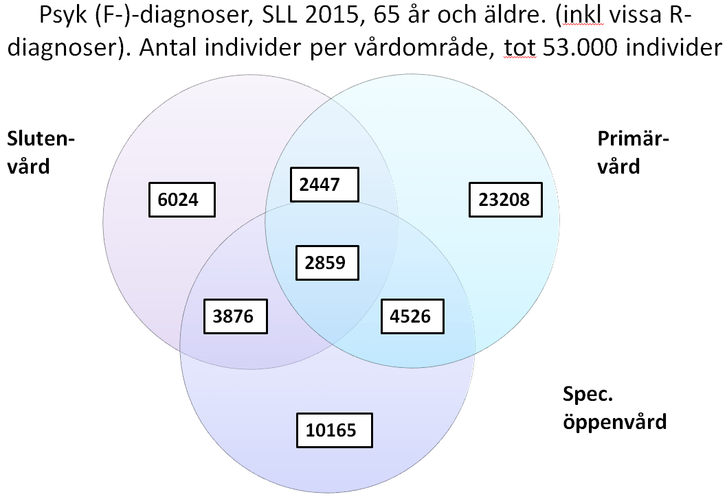 12 Tabell 3 Antal besök/vtf, 65+ med vissa R-diagnoser (ICD), per avsnitt, SLL 2015 Tabell 2 R-avsnitt Beskrivning Antal besök/vtf med diagnos per R-avsnitt Antal individer R41 Kognitiva symptom