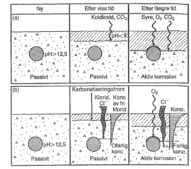 korrosionen uppträder oftast som lokal gropfrätning vilket är särskilt ogynnsamt för spännstål (Fagerlund, 1992).