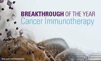 Immunterapi nytt fokus inom cancerforskning RhoVac utvecklar ett immunterapeutisk läkemedel, en ny behandling av metastaserande cancer Använder kroppens eget naturliga