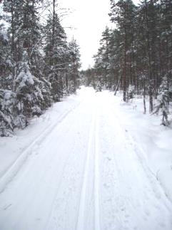 Klubbens representant är Anders Mases Bergebo ski-weekend Vår egen tävling som går i januari. Här finns alla möjligheter att prova på att åka eller att hjälpa till som funktionär.