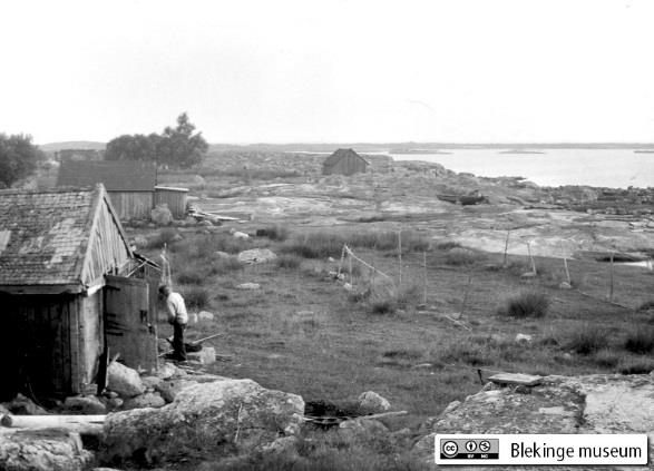 Bildnummer: LUF 5944 4 Vy över kustlinjen på Flaggskär/Flakskär med en garnhage eller garnbrean som man också kallade det.