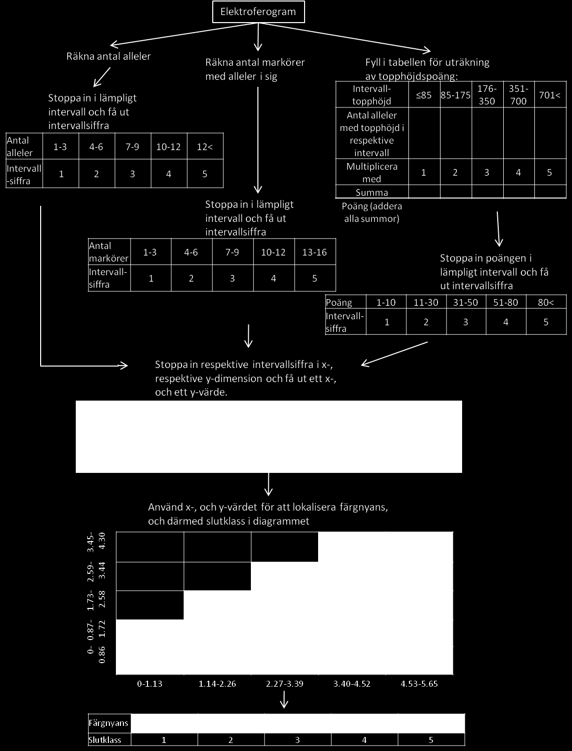 Figur 5. Flödesschema för hur ett elektroferogram utvärderas ur kontaminationssynpunkt.