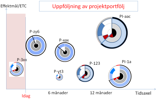 och på att projektets mål inte kommer att uppnås fullt ut inom beslutad budget och tid utan att det vidtas åtgärder.