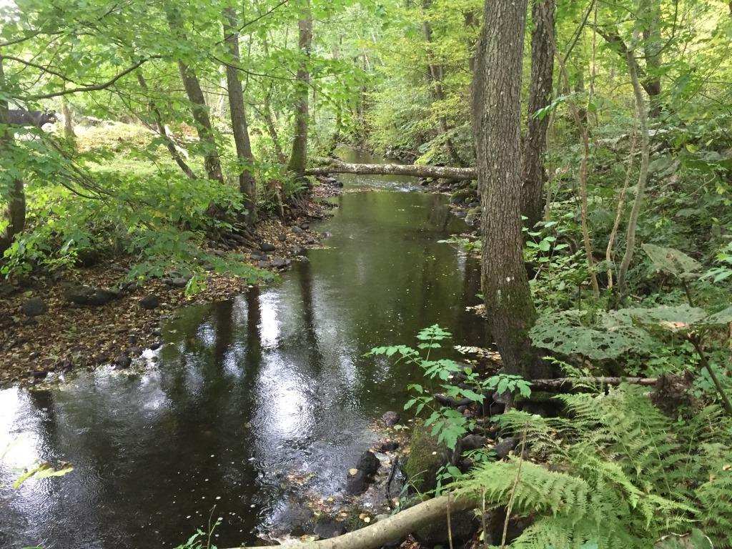 Fastigheten är inlöst till naturreservat vilket innebär stora restriktioner i brukandet. Jakt- och fiskerätt.