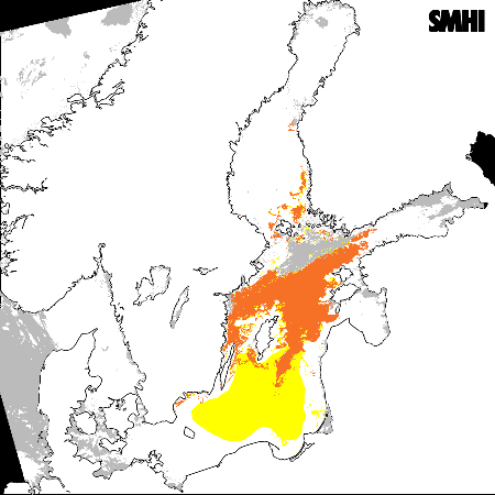 Fig. 5. Tolkad satellitbild 17 juli. Rött: ytansamlingar, gult: produktion i vattenmassan.källa: SMHI. Fig.