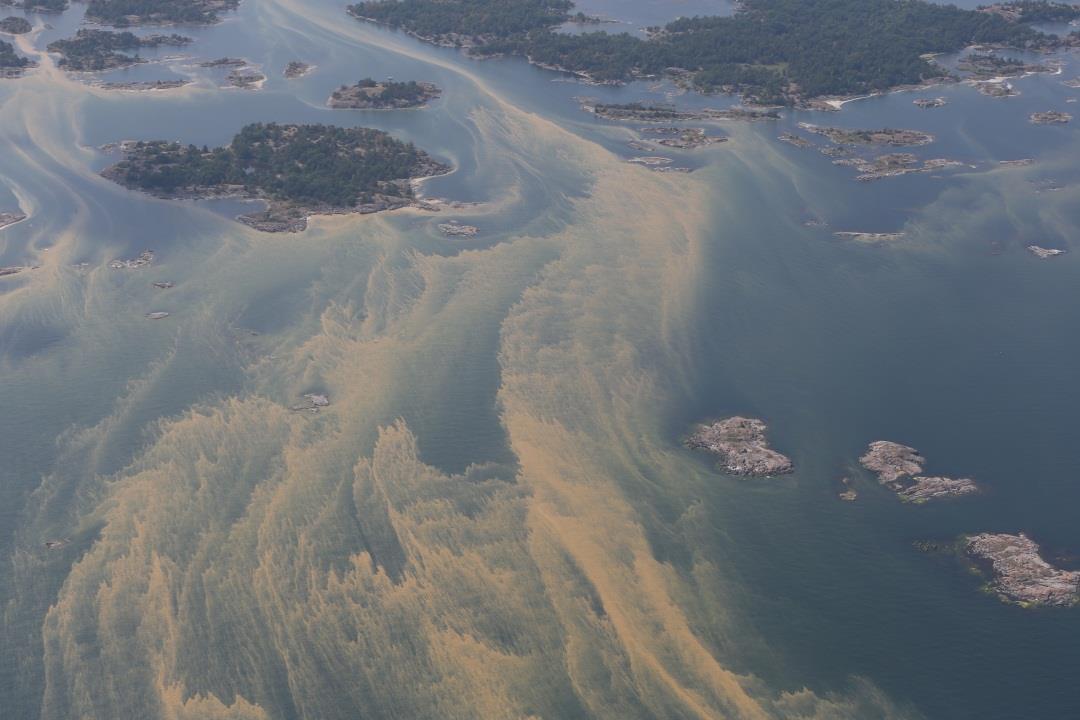 Fig. 9. Ytansamlingar i Östergötlands skärgård 26 juli 2014.