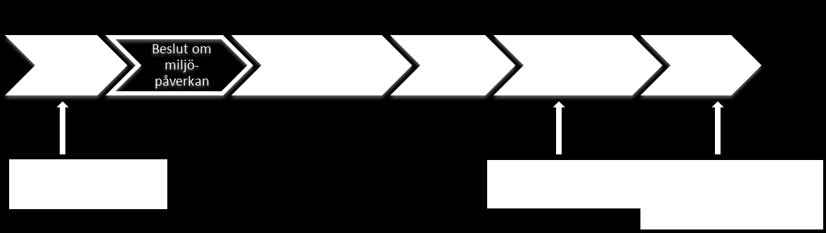 Figur 1. Prövningsprocessen från samråd till beslut för nätkoncession för linje.