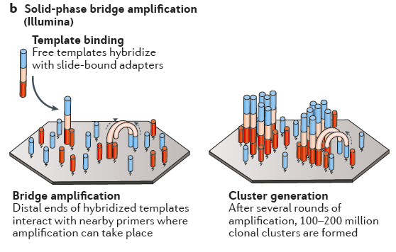 Goodwin et al.