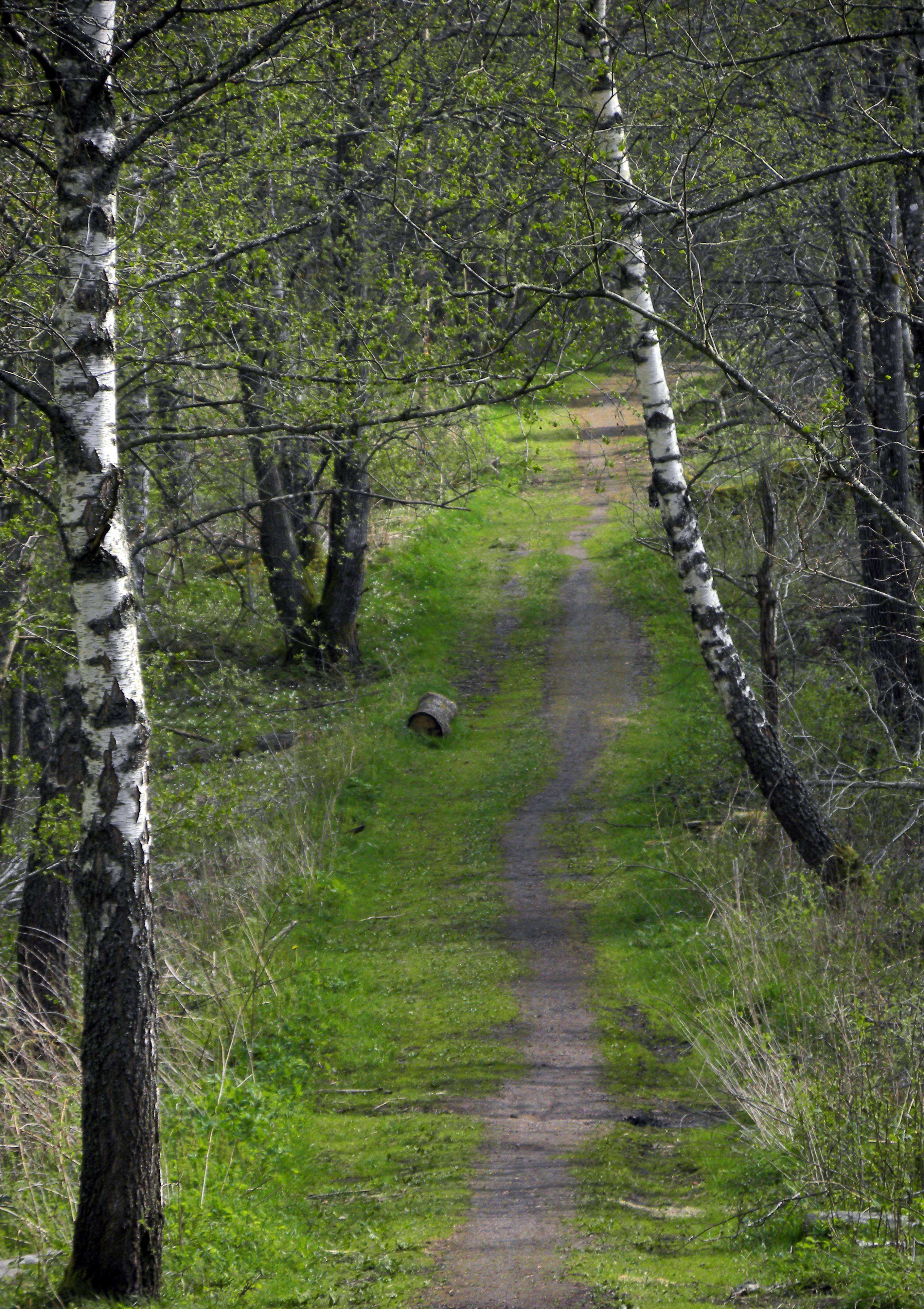 Han delar ditt liv både glädjen och smärtan Du är en bön Gud är din bön 3. Bli stilla, låt tystnaden föra dig nära. Närvaron finns där.