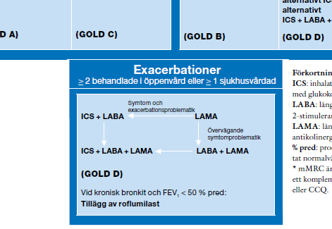 Läkemedelsverkets riktlinjer 2015 Läkemedelsverkets riktlinjer 2015 Underhållsbehandling Alla patienter med KOL diagnos: Rökstopp, vaccination, nutritionskontroll, fysisk aktivitet/träning.