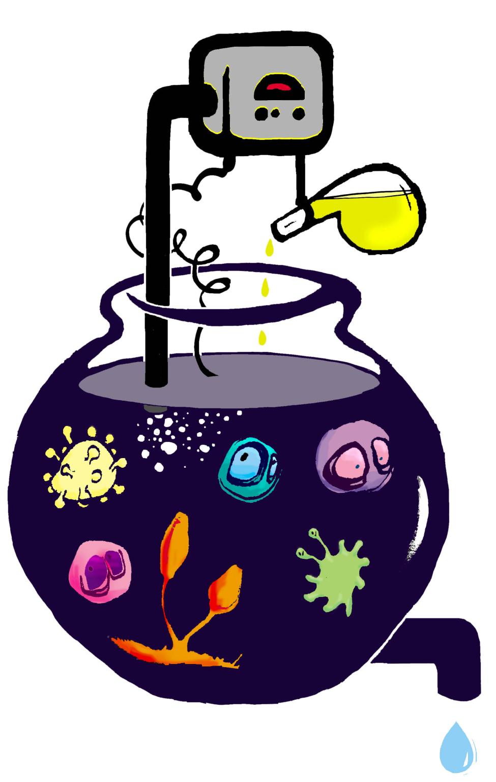 Microbiology in activated sludge processes Sara