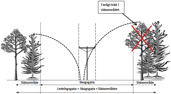 Sträckan Alkullen Ylitornio utgörs av markförhållanden med mycket fukt/sumpskog, förekomst av barr- och lövskog med inslag av öppen odlingsmark.