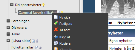 Skapa nyhet Sätt muspekaren på den nyhetslista i strukturträdet där du vill lägga in en nyhet och högerklicka. Välj Skapa ny och en nyhetsida skapas automatiskt.