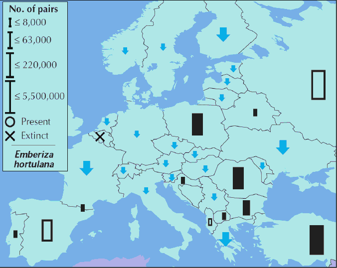 Europa Trender och populationsstorlek för ortolansparv i Europa finns beskrivet i ett faktablad från Birdlife International (2004) varifrån figur 12 är hämtad.