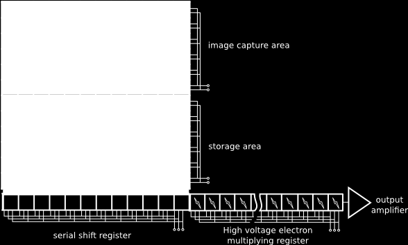 Figure: Wikimedia Commons