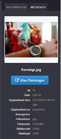 Detta för att man enkelt ska kunna se vilka filer som ingår i en eller flera delningar. Om filen väljs visas även Visa Delning under filinformation i informationsområdet.