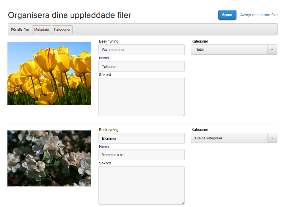 11.2. Organisera filer ImageVault Användarmanual Lägg till kategoriegenskaper till filer genom att trycka på Organisera-knappen.