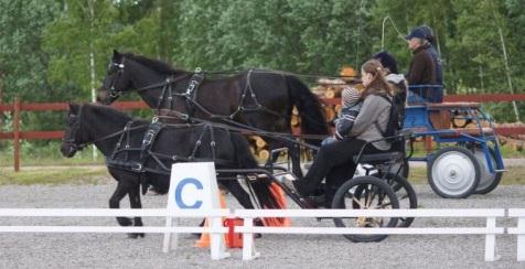 EN DAG I HÄSTENS TECKEN Med anledning av att Svenska Ridsportförbundet firar 100- årsjubileum i år arrangerade Wermlands Körsällskap Hästens Dag på Kils Hästcenter den 3 juni.