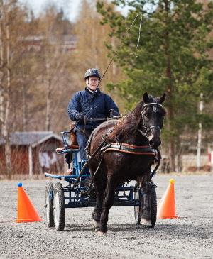 ÅRETS FÖRSTA WKS-TÄVLING Årets tävlingssäsong inom hästkörning i Värmland inleddes den 28 april på Kils Hästcenter Hannäs.