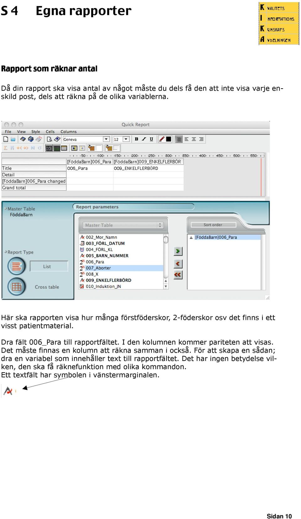 Dra fält 006_Para till rapportfältet. I den kolumnen kommer pariteten att visas. Det måste finnas en kolumn att räkna samman i också.