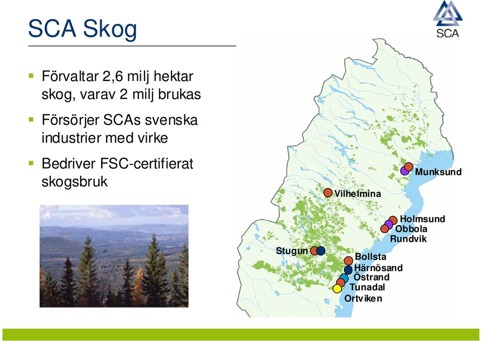 Bedriver FSC-certifierat skogsbruk Vilhelmina Munksund