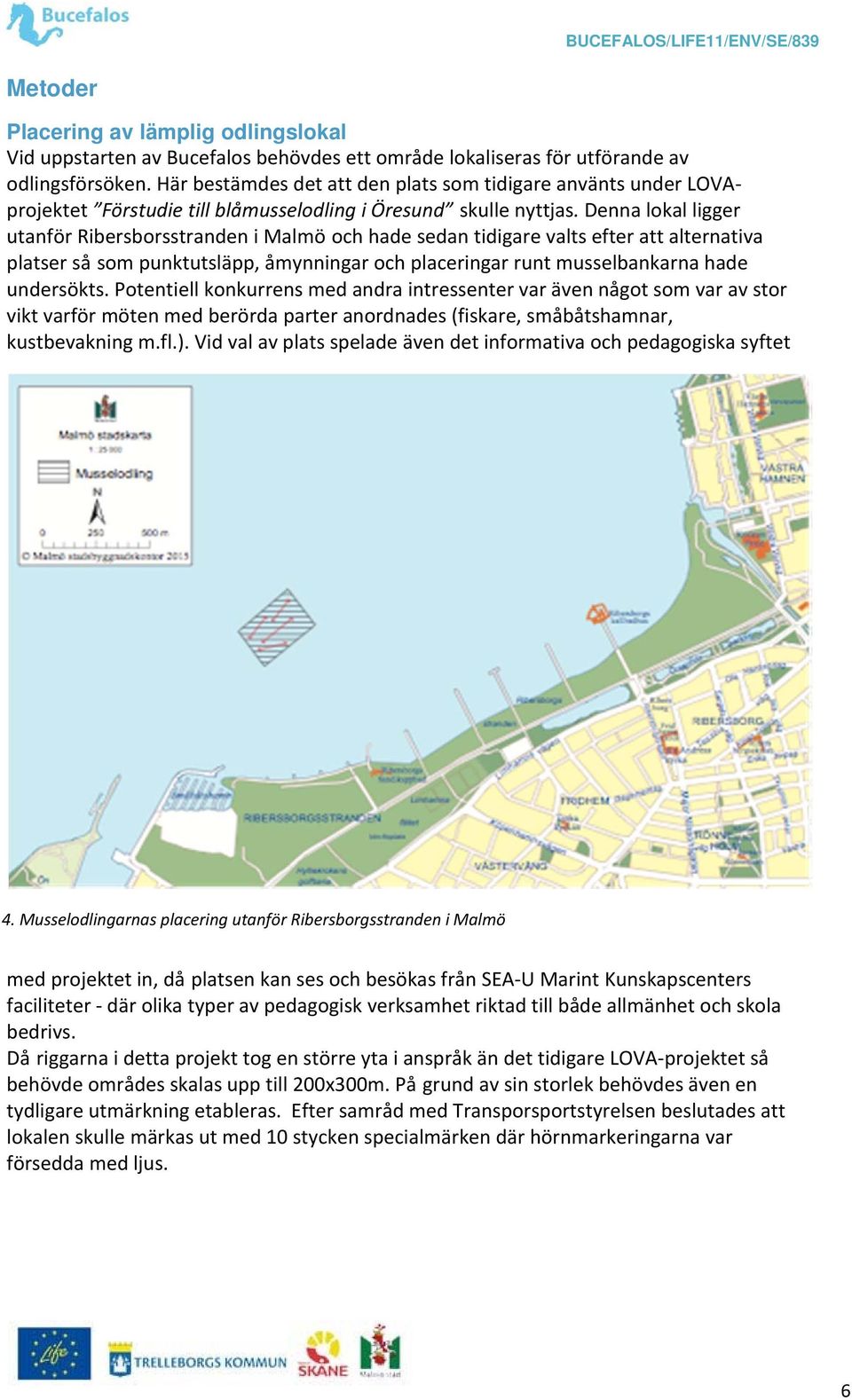 Denna lokal ligger utanför Ribersborsstranden i Malmö och hade sedan tidigare valts efter att alternativa platser så som punktutsläpp, åmynningar och placeringar runt musselbankarna hade undersökts.