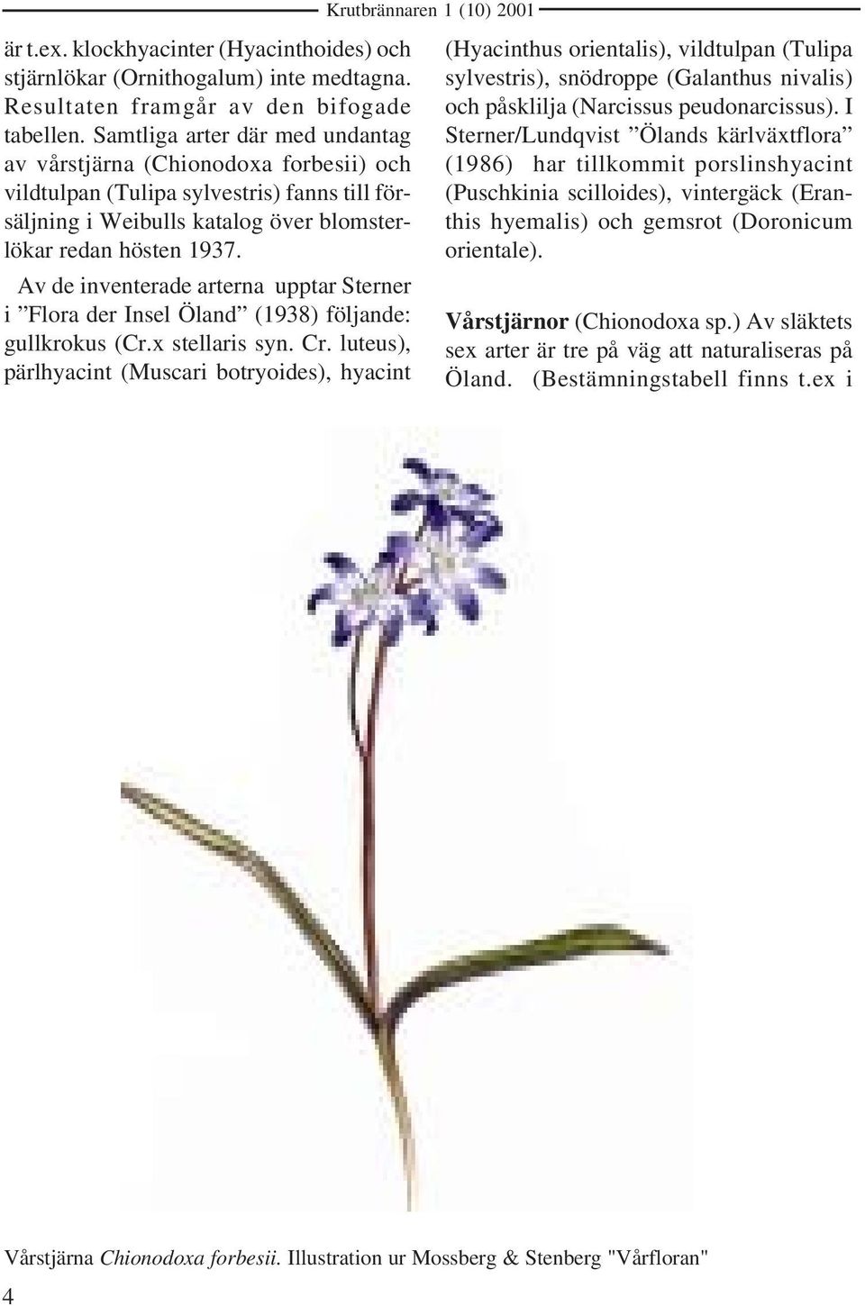 Av de inventerade arterna upptar Sterner i Flora der Insel Öland (1938) följande: gullkrokus (Cr.x stellaris syn. Cr.