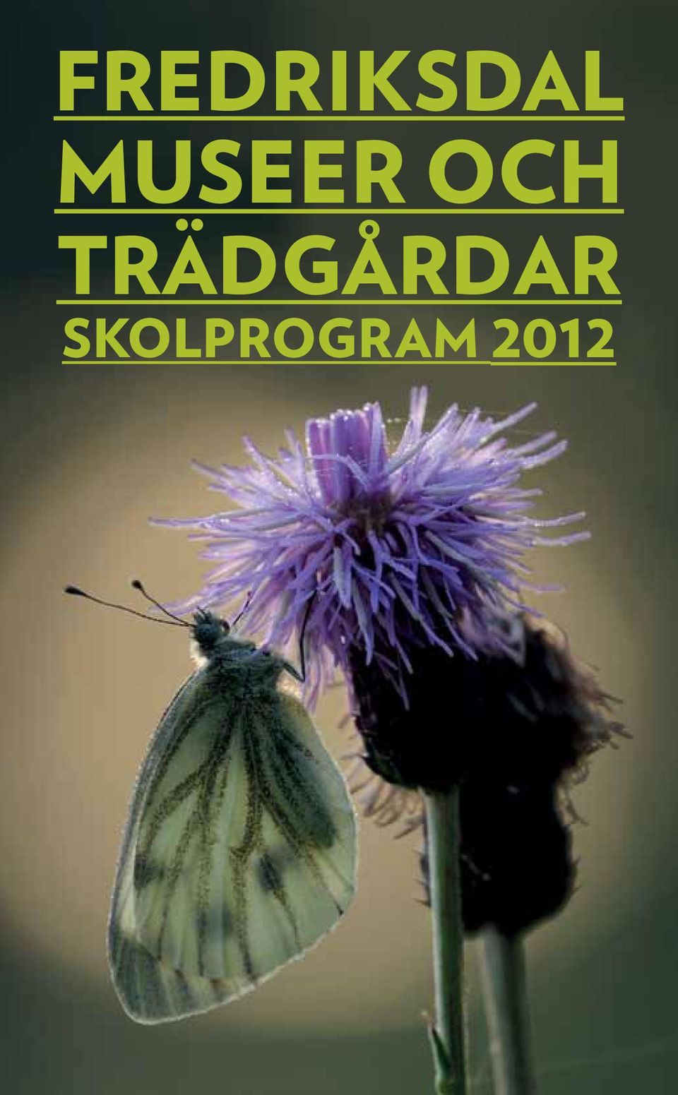 TRÄDGÅRDAR