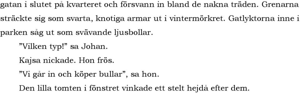 Gatlyktorna inne i parken såg ut som svävande ljusbollar. Vilken typ! sa Johan.