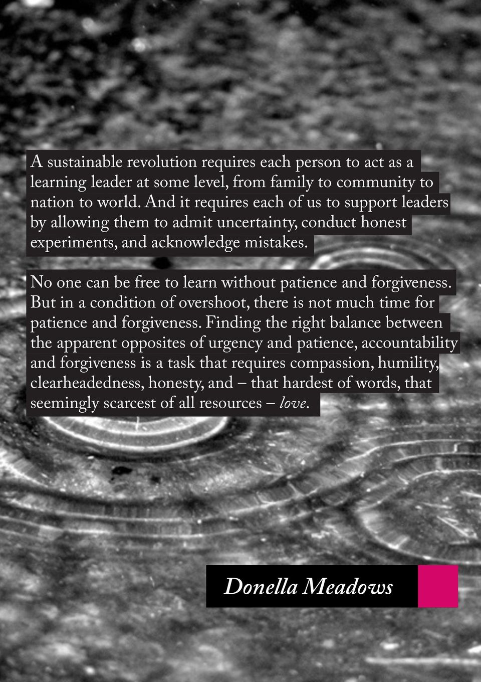 No one can be free to learn without patience and forgiveness. But in a condition of overshoot, there is not much time for patience and forgiveness.