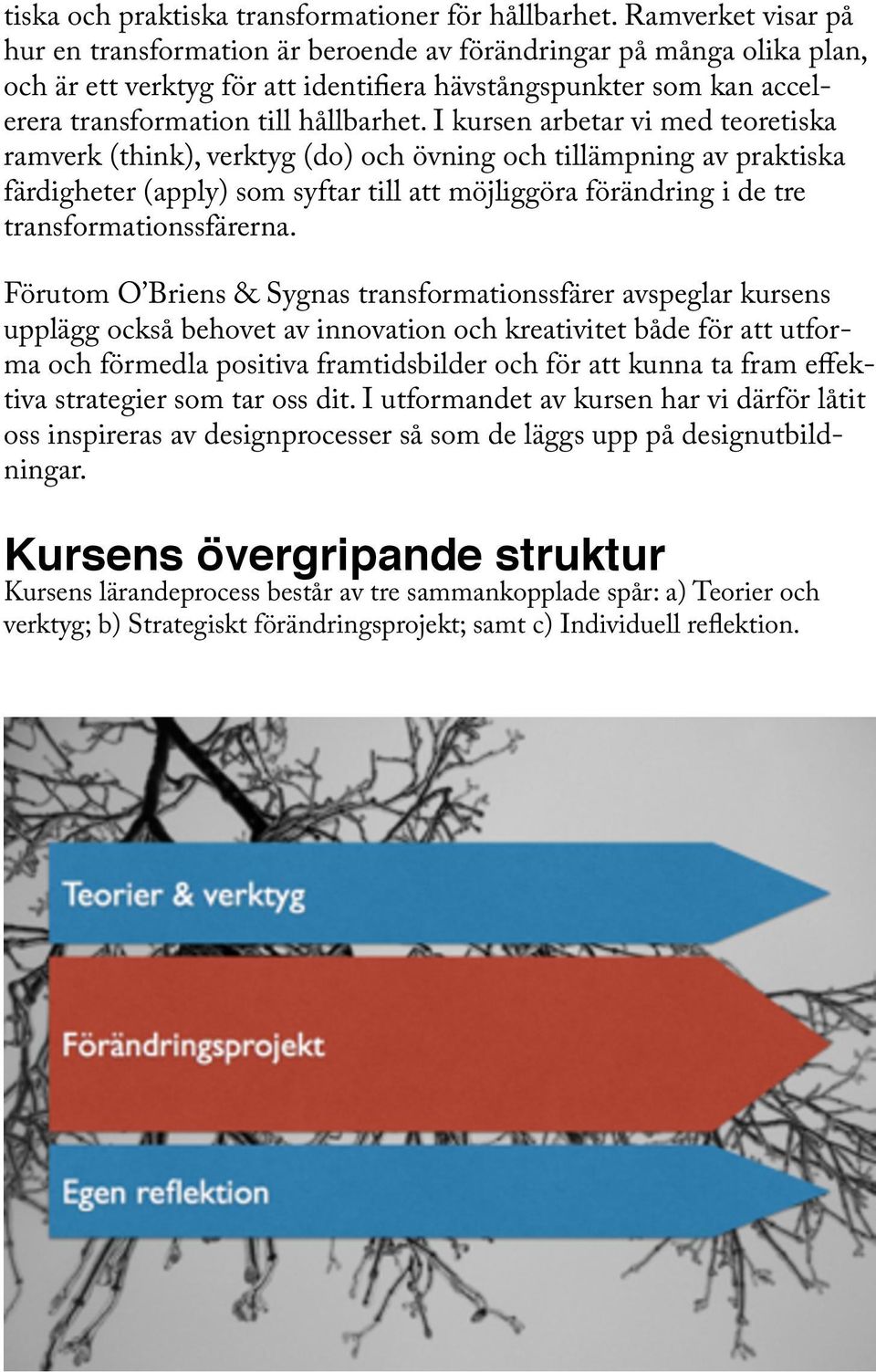 I kursen arbetar vi med teoretiska ramverk (think), verktyg (do) och övning och tillämpning av praktiska färdigheter (apply) som syftar till att möjliggöra förändring i de tre transformationssfärerna.