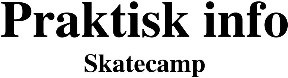 Skatecamp