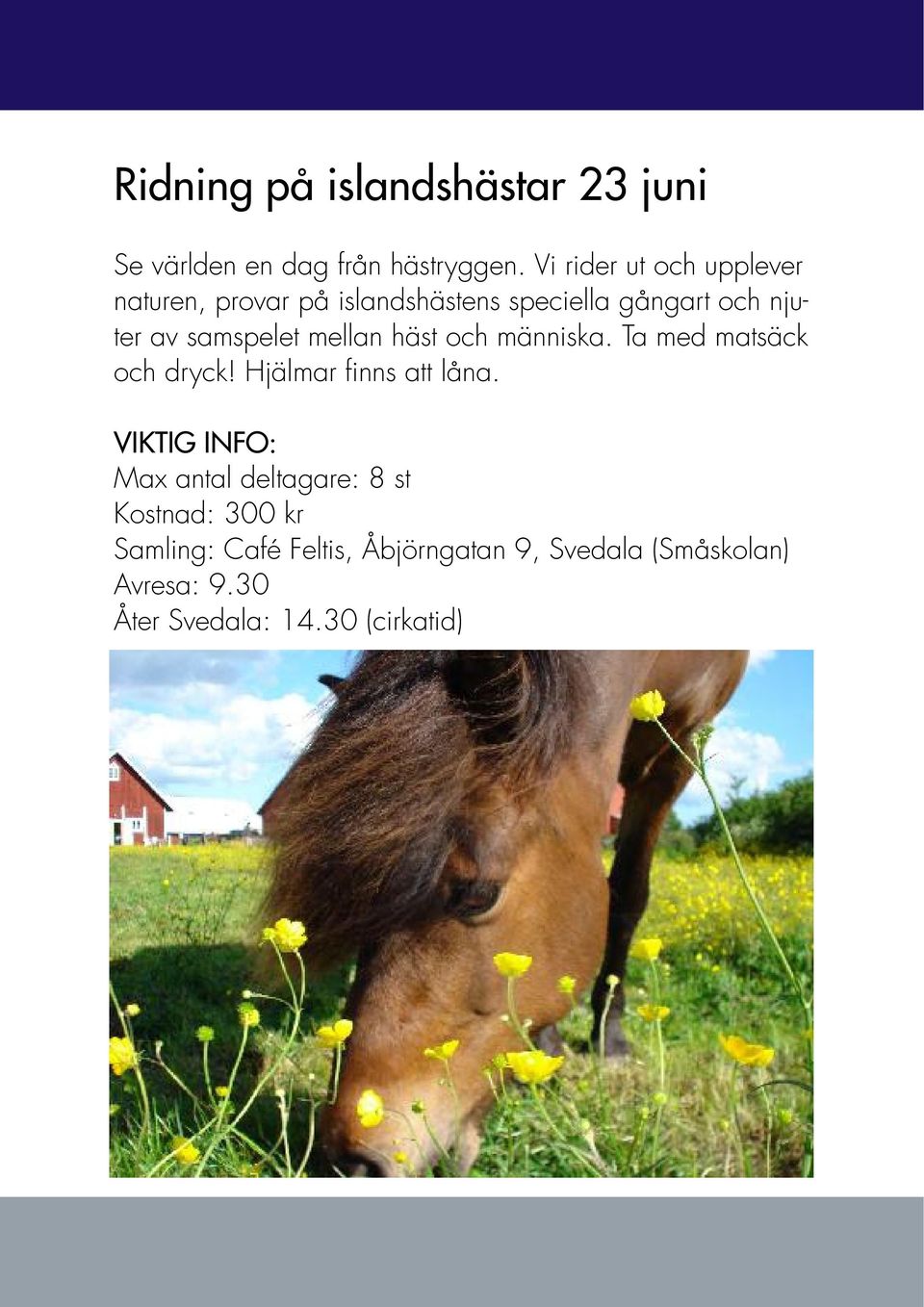 njuter av samspelet mellan häst och människa. Ta med matsäck och dryck!