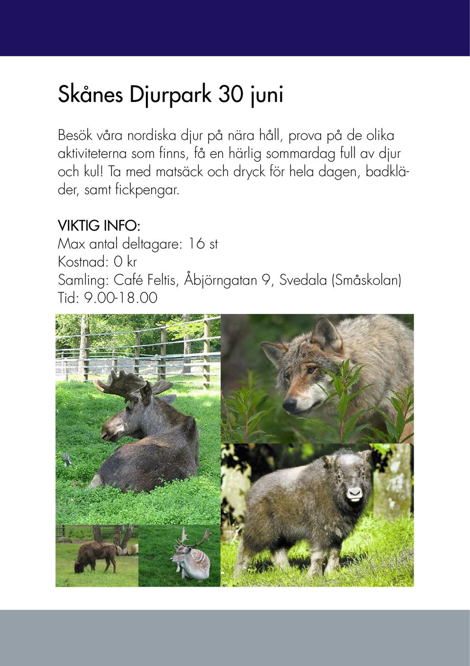 djur och kul!